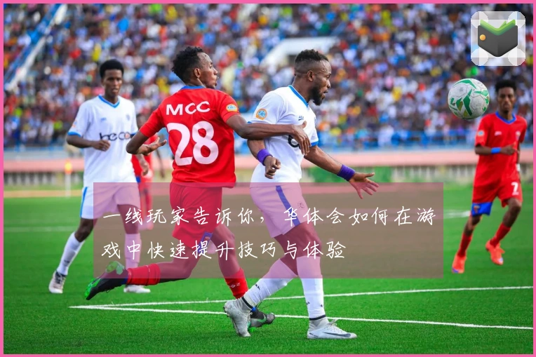 一线玩家告诉你，华体会如何在游戏中快速提升技巧与体验