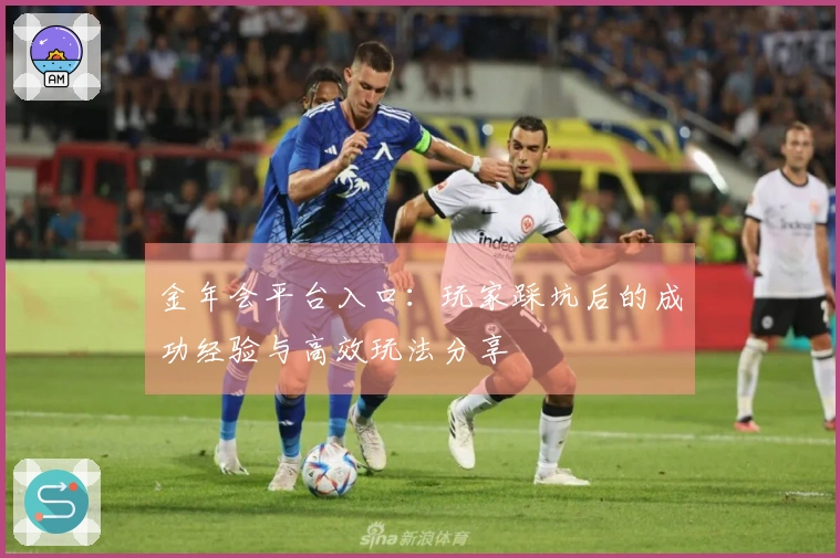 金年会平台入口：玩家踩坑后的成功经验与高效玩法分享